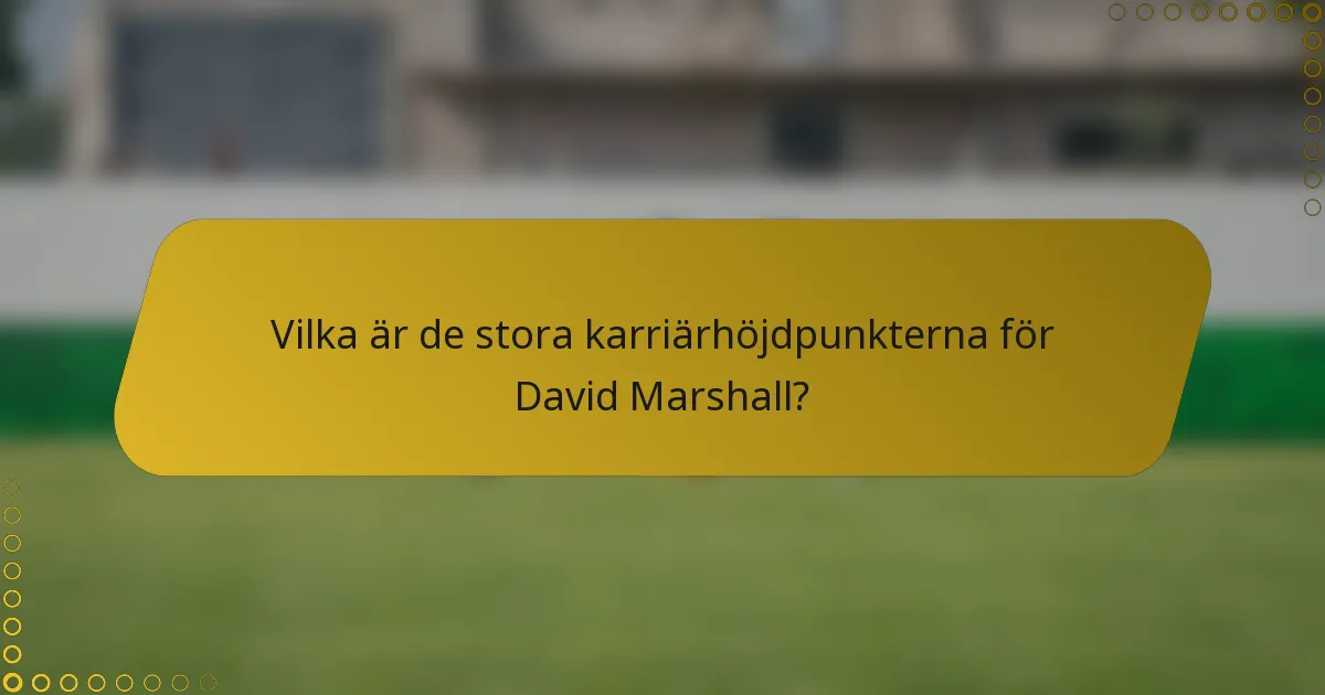 Vilka är de stora karriärhöjdpunkterna för David Marshall?