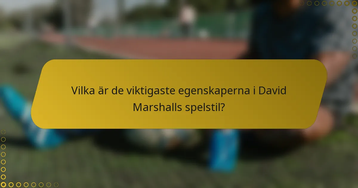 Vilka är de viktigaste egenskaperna i David Marshalls spelstil?